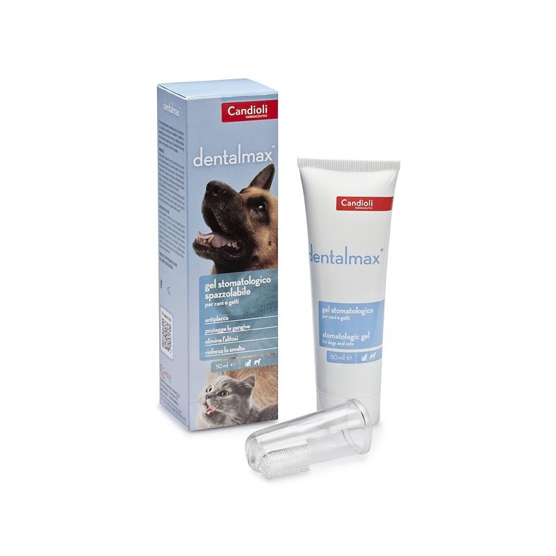 Dentalmax gel stomatologico 