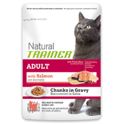 Trainer natural adult con salmone umido