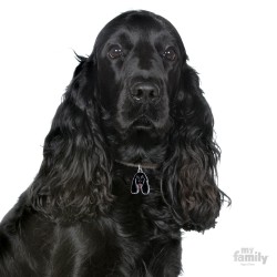 Medaglietta cane Cocker nero - Indossata