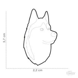 Medaglietta cane Husky siberiano - Dimensione