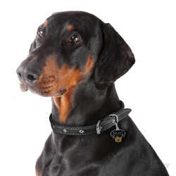 Medaglietta cane Dobermann - Indossata