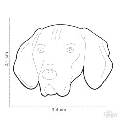 Medaglietta cane Vizsla - Dimensione