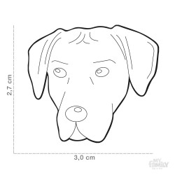 Medaglietta cane Rhodesian Ridgeback  - Dimensione