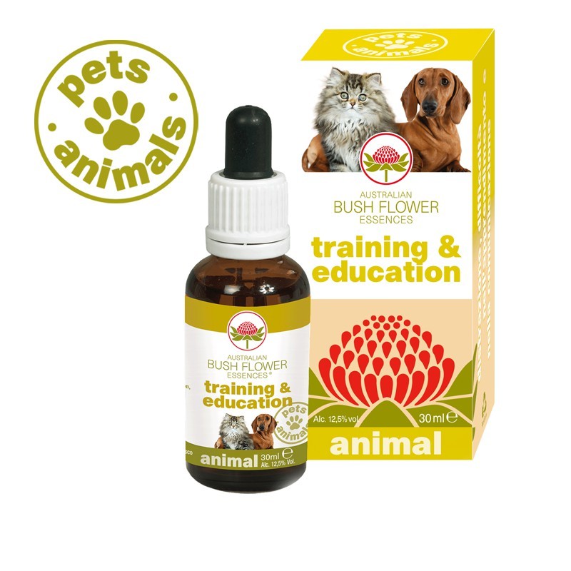 Training & education 30 ml