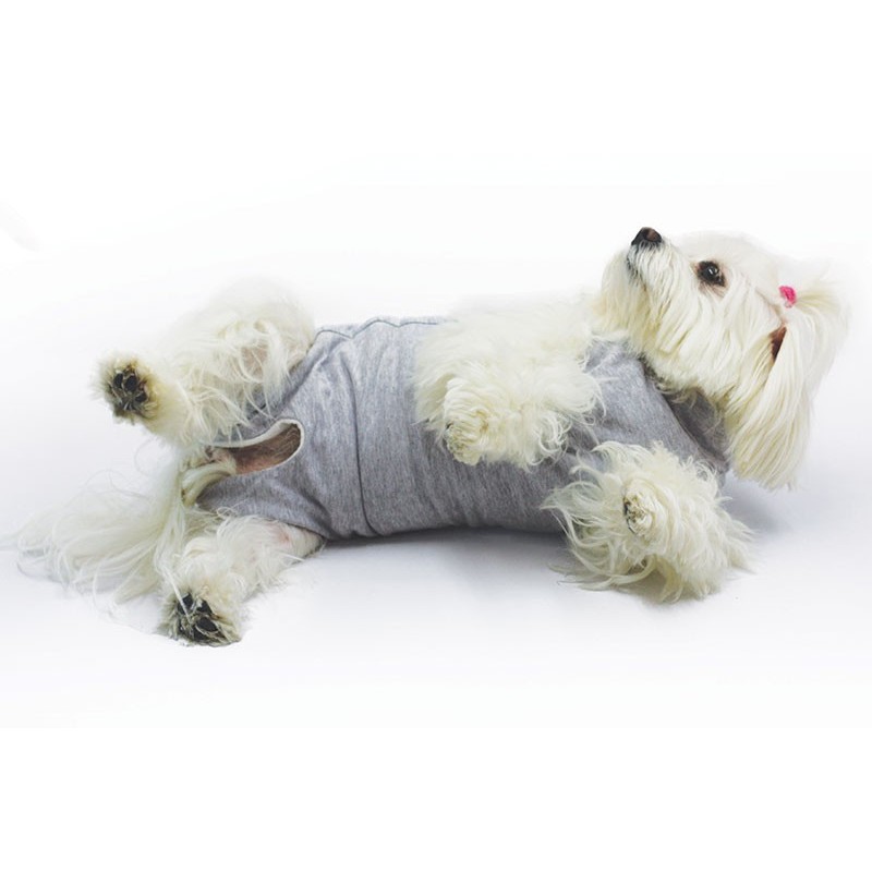 Curapets body 800 tg 27 chiuso