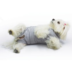 Curapets body 800 tg 36 chiuso