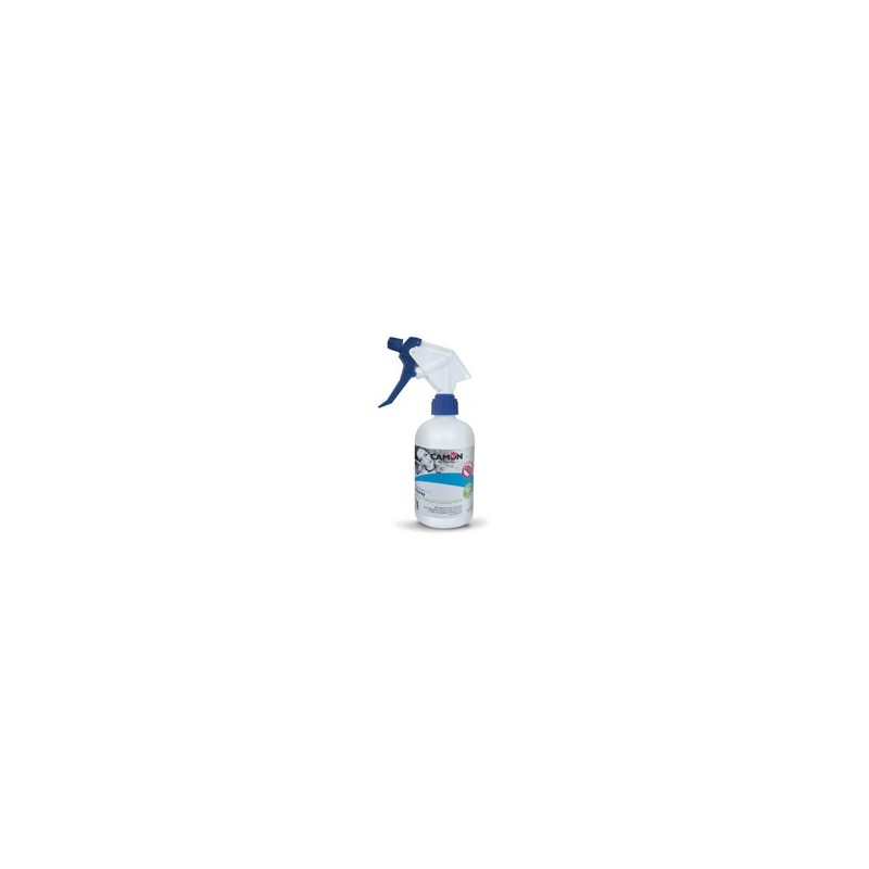 Leispray protection 500ml