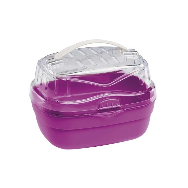 Aladino Small 