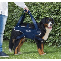 Balto bt body lift tg m