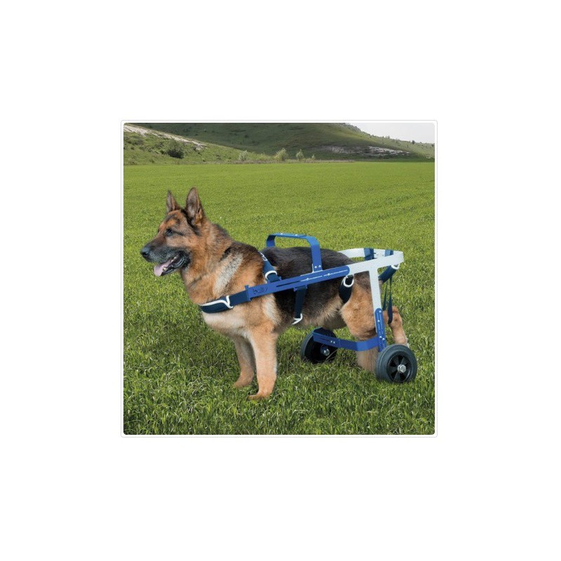 Balto off road mis. m