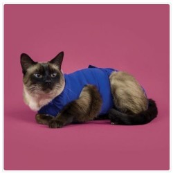 Balto recova shirt m