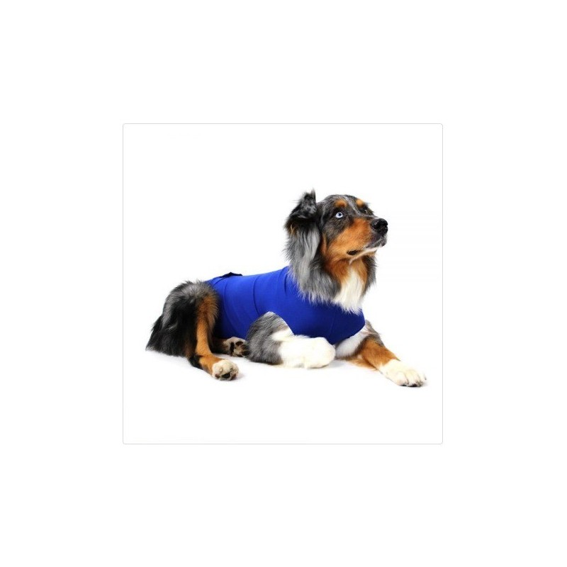 Balto recova shirt xs