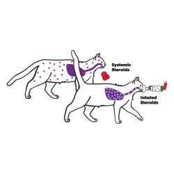Aero kat aerosol per gatti