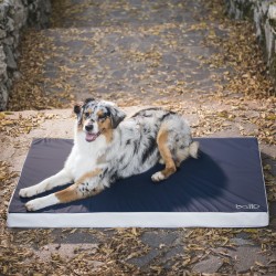 Bt blue carpet mat ortop mf xl