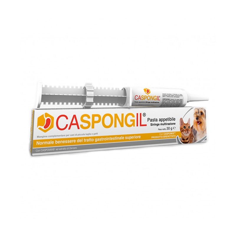 Caspongil pasta 30g