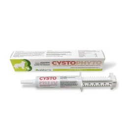 Cystophyto pasta 30g