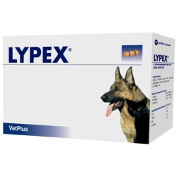 Lypex 60cps
