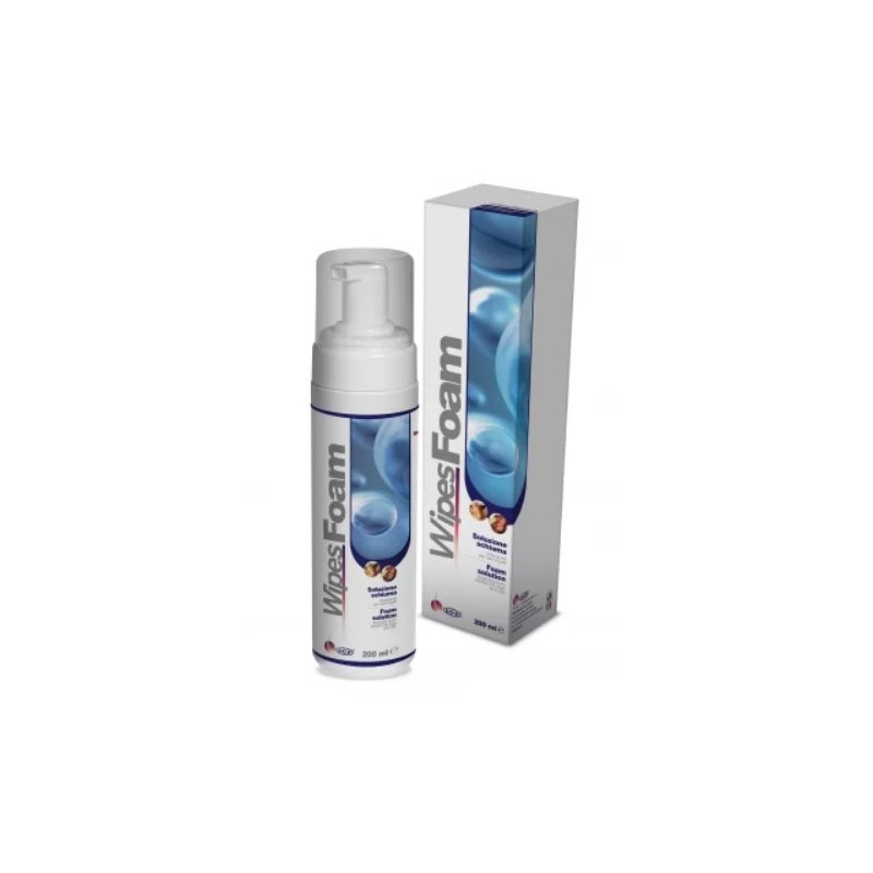 Wipes foam 200ml