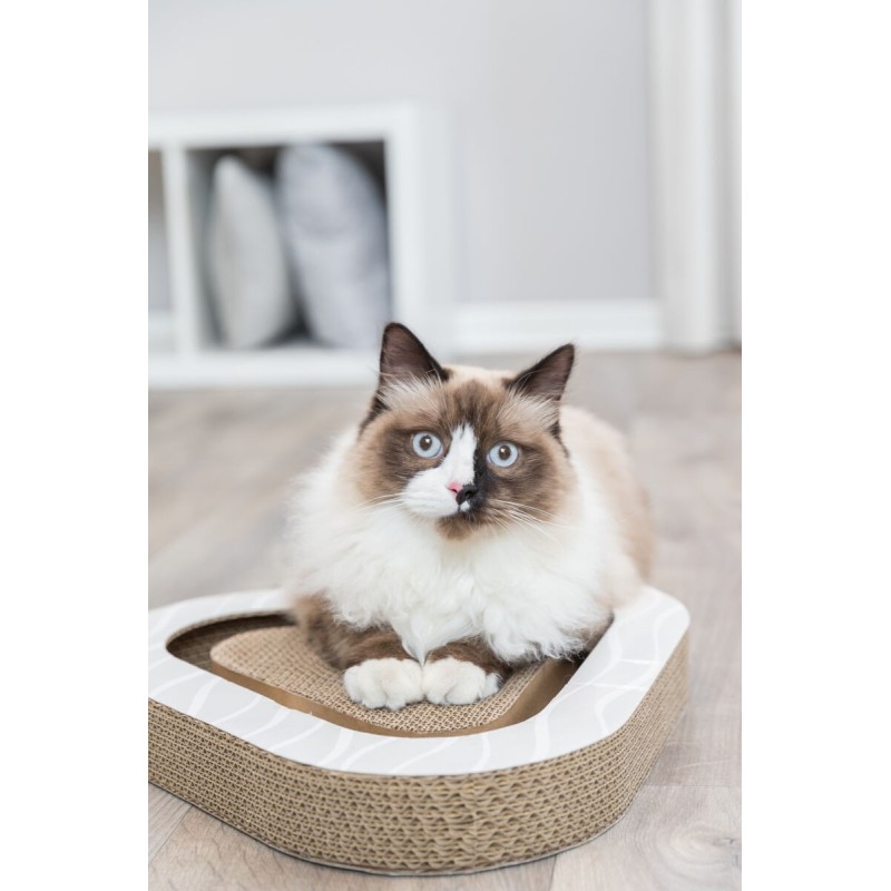 Tavoletta in cartone