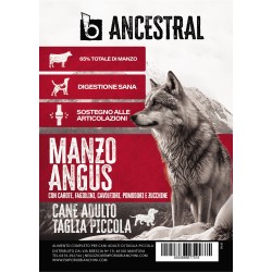 B - Ancestral Manzo Angus Adult Mini 2 kg