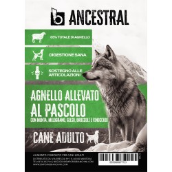 B - Ancestral Agnello allevato al pascolo Adult 2 kg