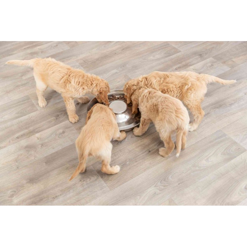 Junior Ciotola per cuccioli 4 lt