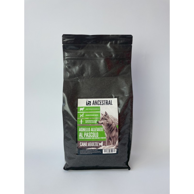 B - Ancestral Agnello allevato al pascolo Adult 2 kg