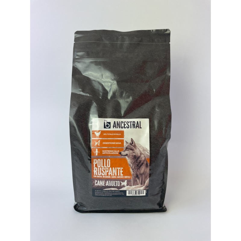 B - Ancestral Pollo Ruspante Adult 2 kg