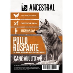 B - Ancestral Pollo Ruspante Adult 6 kg