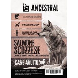 B - Ancestral Salmone Scozzese Adult 6 kg