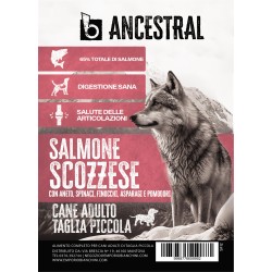 B - Ancestral Salmone Scozzese Adult mini 2 kg
