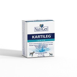 Kartileg Junior 30 tavolette