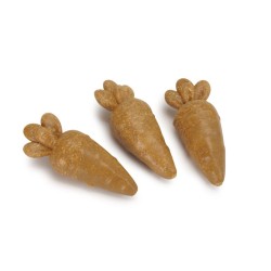 Carote snack per piccoli animali da compagnia 60 gr