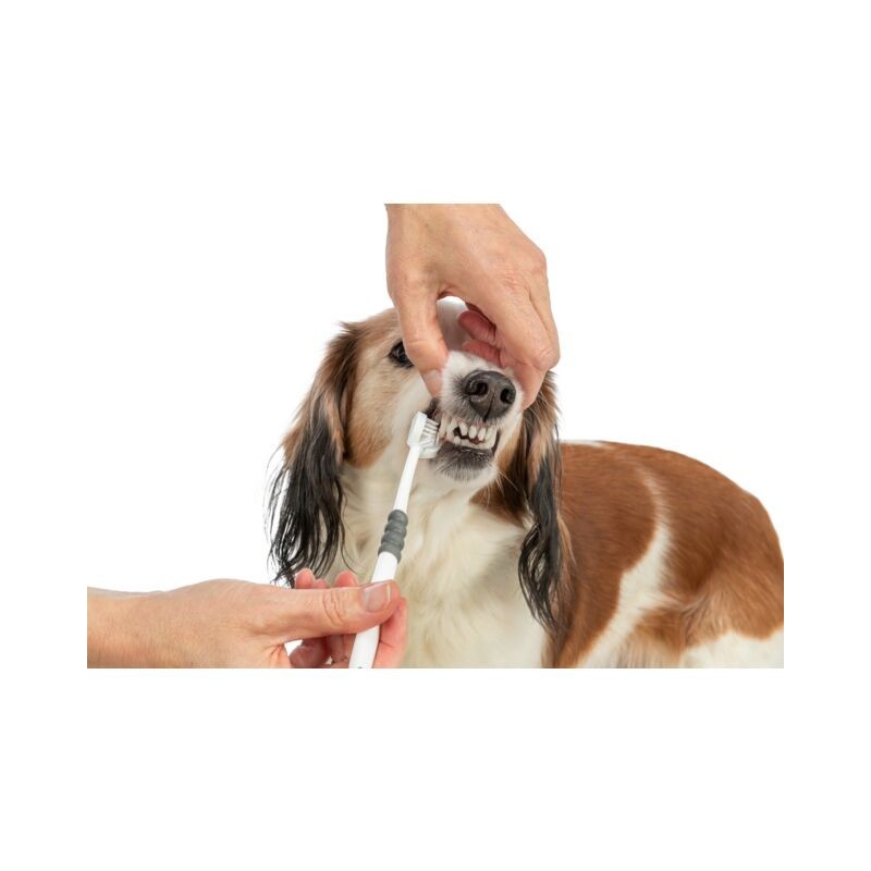 Spazzolino a 3 teste