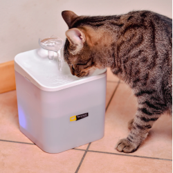 Ares fontanella per gatti e cani di piccola taglia