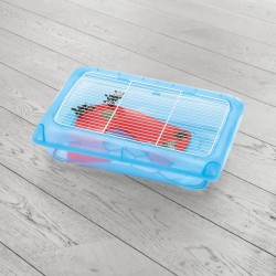 Tartarughiera Ninfea