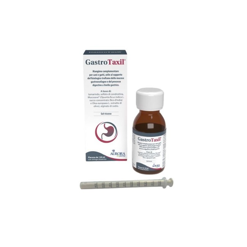 Gastrotaxil 120 ml