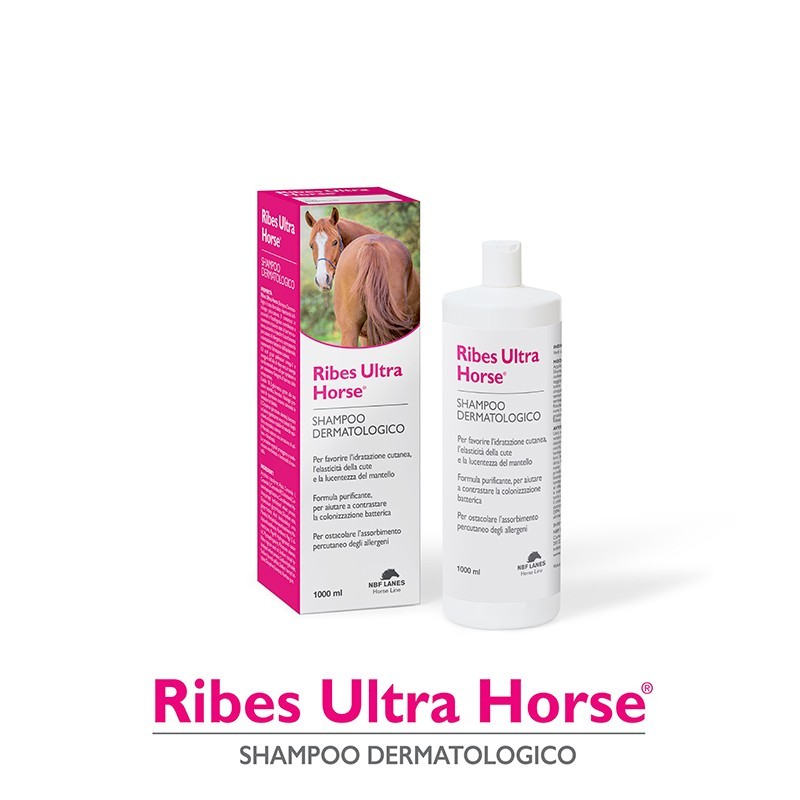 Ribes Horse Shampoo Balsamo Ultra 1 lt