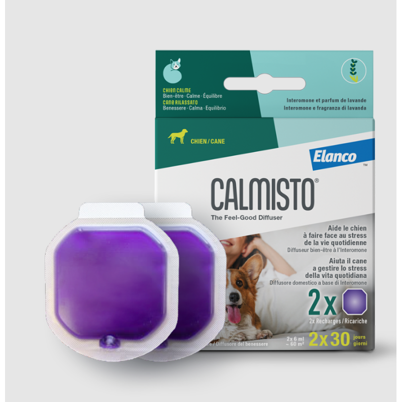 Calmisto Cane Ricarica