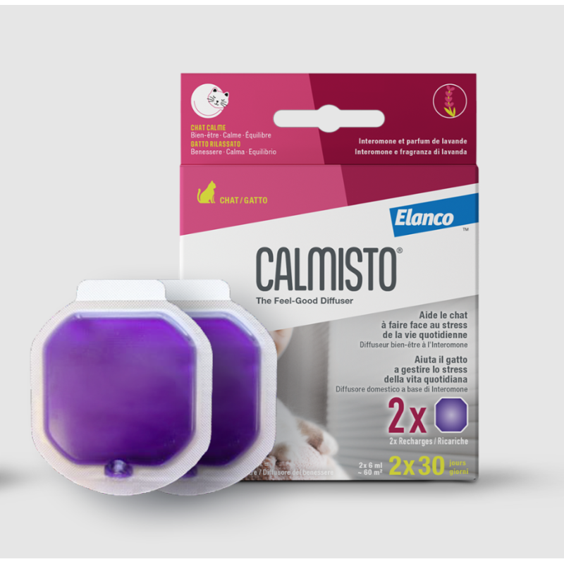 Calmisto Gatto Ricarica