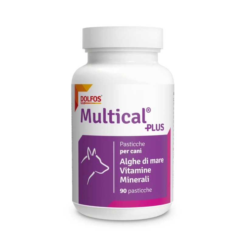 Multical Plus 90 pasticche