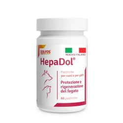 Hepadol 60 pasticche