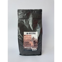 B - Ancestral Salmone...