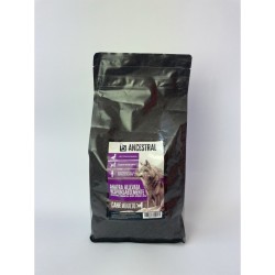 B - Ancestral Anatra...