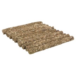 Sticks per favorire...