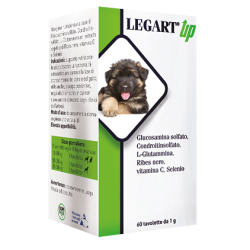 Legart UP 60 cpr