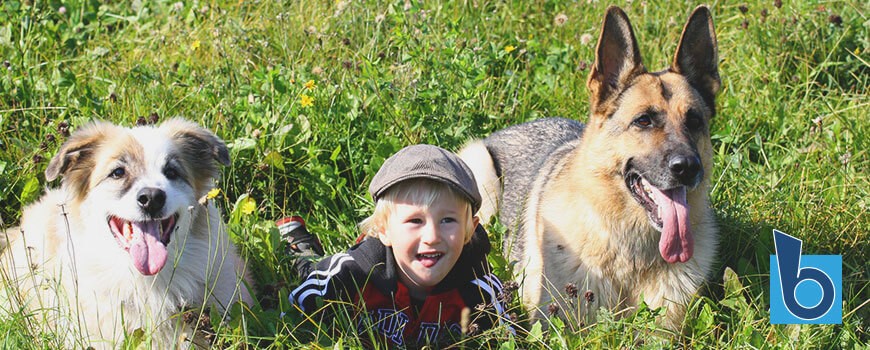 I consigli per una buona convivenza tra cane e bambini